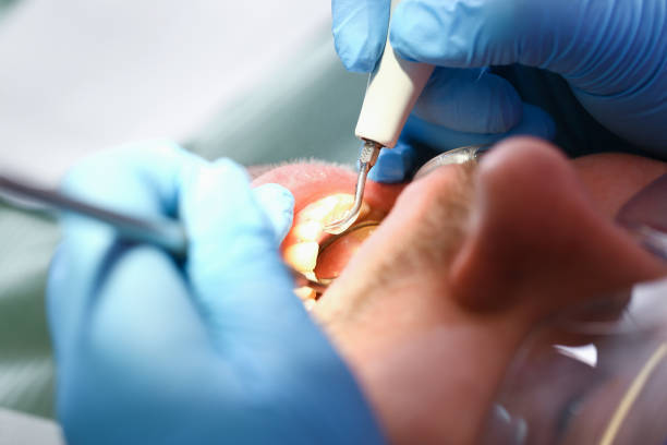 Best Emergency Pediatric Dentist  in South Wallins, KY