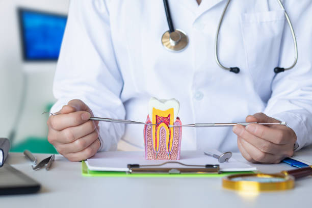 Best Tooth Infection Emergency Dentist  in South Wallins, KY